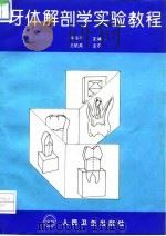 牙体解剖学实验教程（1994 PDF版）