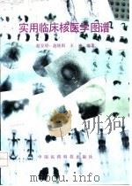 实用临床核医学图谱 1992 PDF电子版封面 7506706512 赵宝经等编译