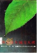 奇效秘方偏方大成 1991 PDF电子版封面 7538815600 白云升,钟珉编