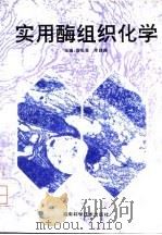 实用酶组织化学 1996 PDF电子版封面 7535718116 贲长恩,李叔庚主编