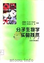 分子生物学实验技术（1998 PDF版）