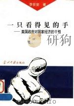 一只看得见的手 美国政府对国家经济的干预 1996 PDF电子版封面 780092498X 李世安著