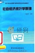 社会经济统计学原理（1991 PDF版）