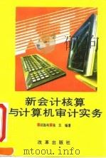 新会计核算与计算机审计实务（1993 PDF版）