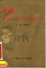 中国商品化会计软件精选（1994 PDF版）