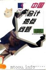 中国会计热点问题（1996 PDF版）