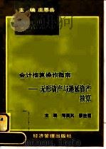 无形资产与递延资产核算 1997 PDF电子版封面 7801183053 郑良兴,李连和主编