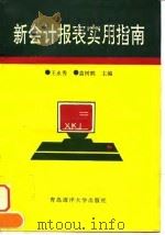 新会计报表实用指南（1994 PDF版）