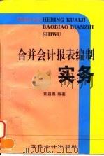 合并会计报表编制实务（1997 PDF版）