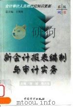 新会计报表编制与审计实务（1999 PDF版）