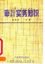审计实务知识 1990 PDF电子版封面 7504701891 杨轶群主编