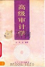 高级审计学（1991 PDF版）