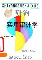 实用审计学（1990 PDF版）