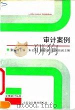 审计案例（1992 PDF版）
