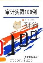 审计实践100例（1992 PDF版）