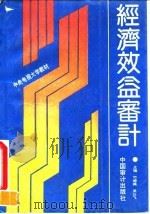 经济效益审计 1992 PDF电子版封面 780064152X 竹德操,吴云飞主编