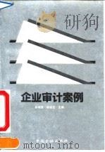 企业审计案例（1992 PDF版）