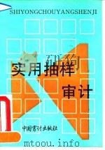实用抽样审计（1990 PDF版）