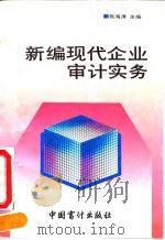 新编现代企业审计实务 1993 PDF电子版封面 7800642259 张海涛主编