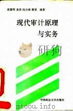 现代审计原理与实务 1993 PDF电子版封面 7562010129 张德明等编著