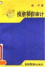 投资项目审计 1993 PDF电子版封面 780025836X 张平著