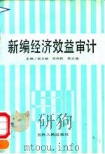 新编经济效益审计 1993 PDF电子版封面 7206019706 袁玉岫等主编