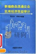 新编商品流通企业实用经济效益审计 1994 PDF电子版封面 780064300X 张达志,郑晓东编著