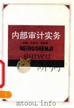 内部审计实务 1990 PDF电子版封面 7213004581 王志钧,赵毓臣主编
