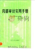 内部审计实用手册 1990 PDF电子版封面 720501137X 彭扣桃,周军
