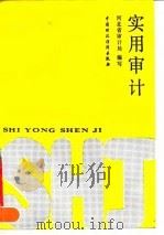 实用审计（1989 PDF版）