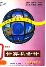 计算机会计（1995 PDF版）