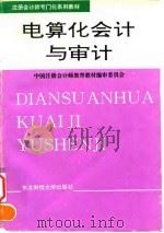 电算化会计与审计 1995 PDF电子版封面 7810440667 中国注册会计师教育教材编审委员会编