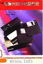 电算化会计信息系统（1996 PDF版）