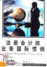 注册会计师业务国际惯例 1994 PDF电子版封面 7221035431 李爽,苏一纯著