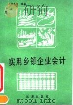 实用乡镇企业会计 1992 PDF电子版封面 7800722783 贺永生编著