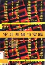 审计基础与实践（1995 PDF版）