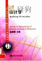 审计学（1999 PDF版）
