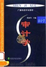 审计学 1999 PDF电子版封面 7505818074 奚淑琴主编
