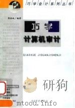 巧学计算机审计（1999 PDF版）
