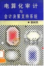 电算化审计与会计决策支持系统（1995 PDF版）
