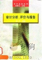 审计分析、评价与报告（1998 PDF版）