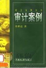 审计案例（1999 PDF版）
