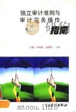 独立审计准则与审计实务操作指南（1996 PDF版）