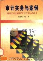 审计实务与案例（1997 PDF版）