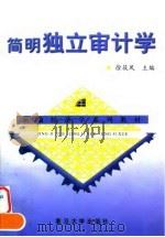 简明独立审计学（1998 PDF版）
