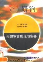 内部审计理论与实务 1996 PDF电子版封面 7800645169 钱世昌主编