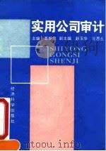 实用公司审计（1994 PDF版）
