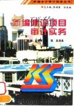 新编建设项目审计实务 1996 PDF电子版封面 7800706109 高雅青等主编
