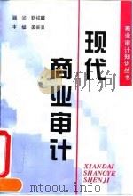 现代商业审计（1994 PDF版）