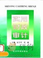 实用财政审计（1996 PDF版）
